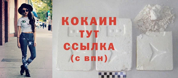 стафф Новодвинск