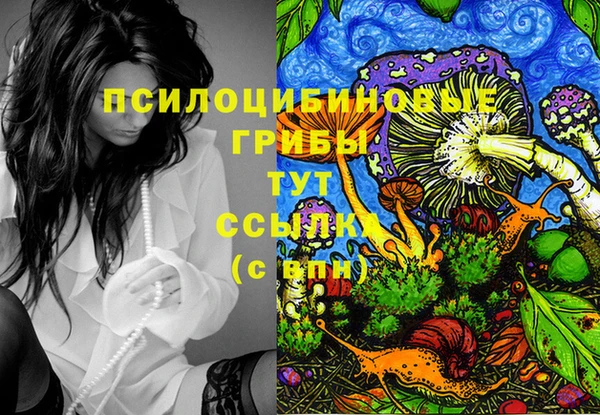 прущий лед Видное
