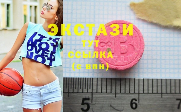 стафф Новодвинск