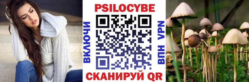 наркота  Дальнереченск  Псилоцибиновые грибы прущие грибы 
