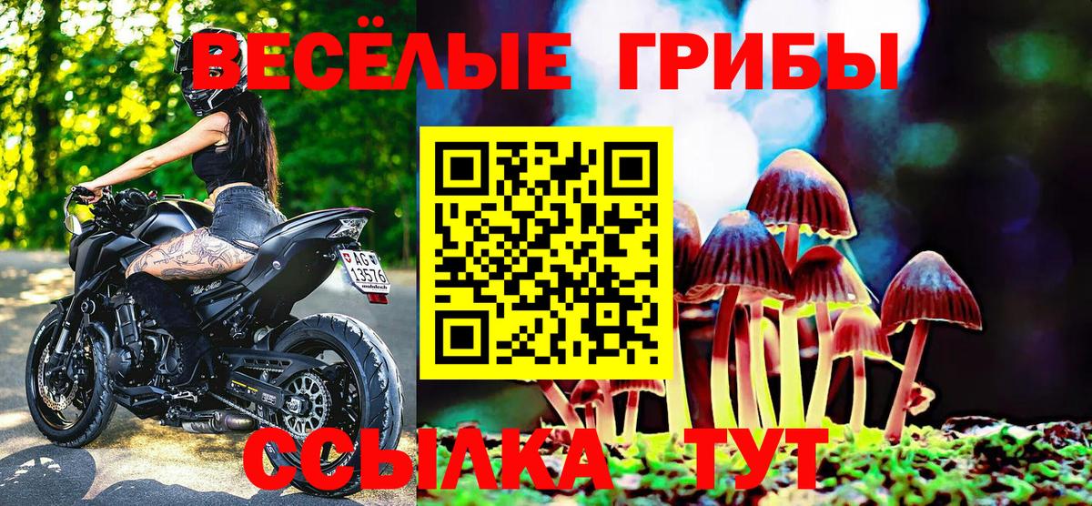 Галлюциногенные грибы MAGIC MUSHROOMS Дальнереченск